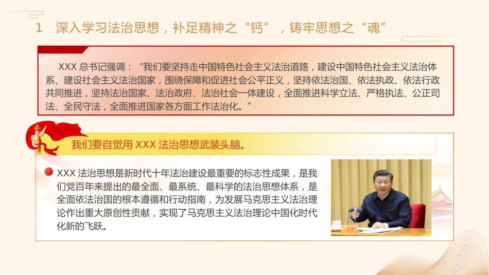 政法系统学习贯彻法治思想主题党课ppt+讲稿(2800字,17张)_第5页