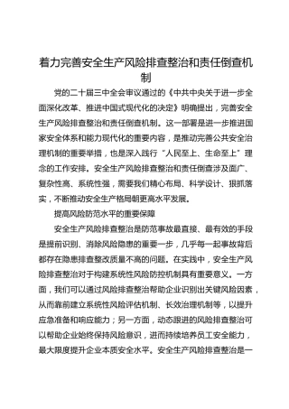 三中全会党课ppt+讲稿：着力完善安全生产风险排查整治和责任倒查机制（2500字，18张）