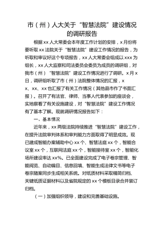 市（州）人大关于“智慧法院”建设情况的调研报告