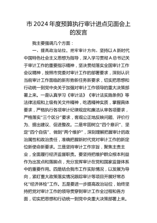 市2024年度预算执行审计进点见面会上的发言