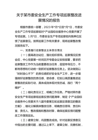 安全生产工作专项巡察整改进展情况的报告
