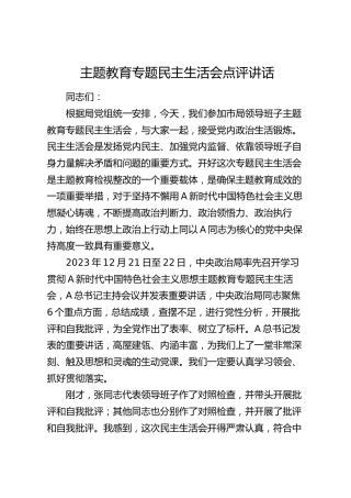 主题教育专题民主生活会点评讲话3600字