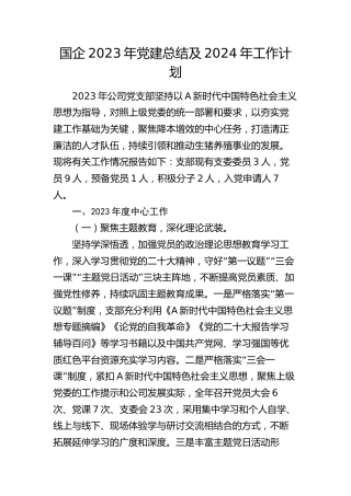 国企公司2023年党建总结及2024年工作计划3400字