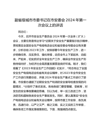 在市安委会2024年第一次会议上的讲话（安全生产）