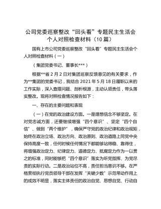 公司巡察整改“回头看”专题民主生活会个人对照检查10篇