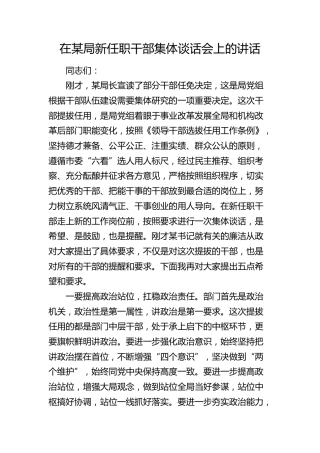 在局新任职干部集体谈话会上的讲话2400字
