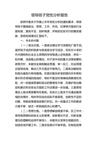 领导班子党性分析报告3000字