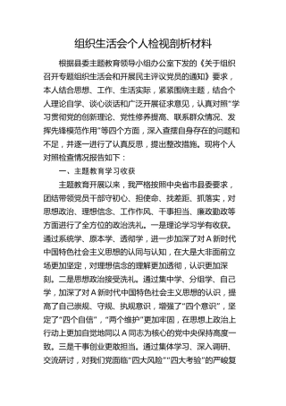 主题教育专题组织生活会个人检视剖析材料