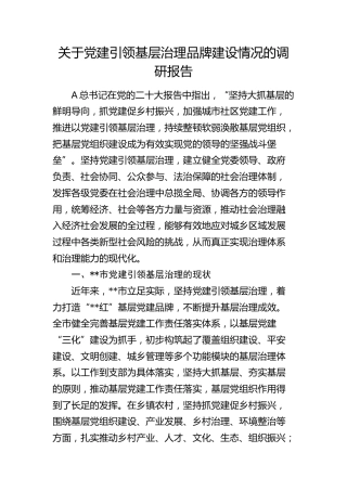 党建引领基层治理品牌建设情况的调研报告