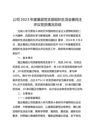 公司党支部组织生活会暨民主评议党员情况总结3200字