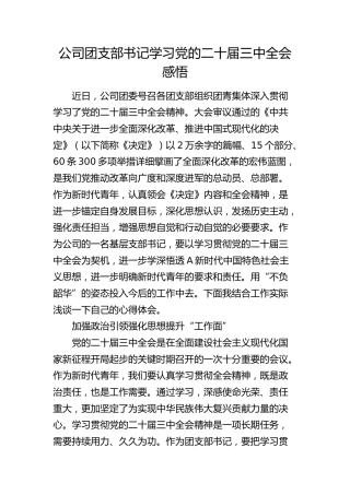 公司团支部书记学习二十届三中全会心得体会发言