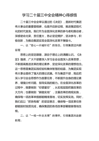 学习二十届三中全会精神心得感悟2