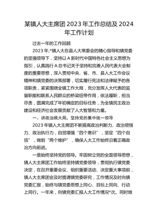 乡镇人大主席团工作总结2