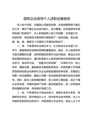 国企公司领导个人述职述廉报告（德能勤绩廉3200字）