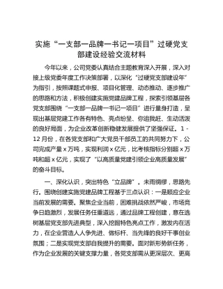 实施“一支部一品牌一书记一项目”过硬党支部建设经验交流