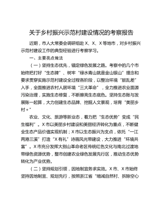 乡村振兴示范村建设情况的考察报告