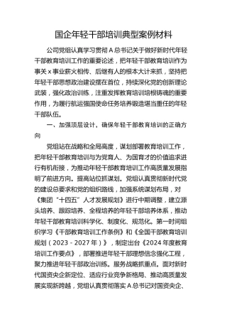 国企公司年轻干部培训典型经验案例