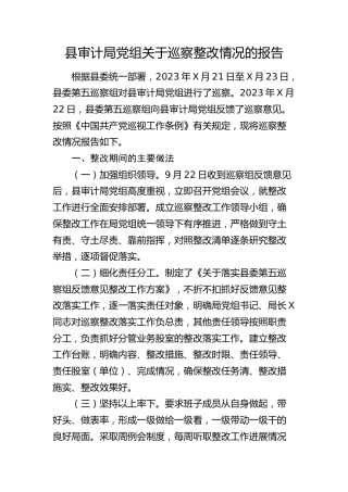 县审计系统巡察整改情况报告（1万字总结）
