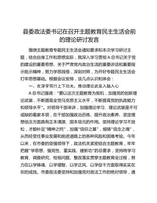政法委书记在主题教育专题民主生活会前的理论研讨发言