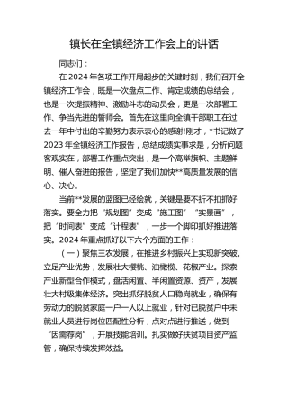 镇长在乡镇经济工作会上的讲话