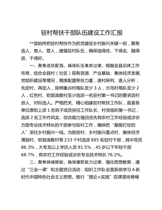 驻村帮扶干部队伍建设工作总结汇报