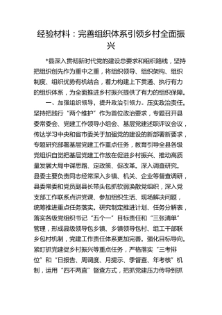 经验总结：完善组织体系引领乡村全面振兴