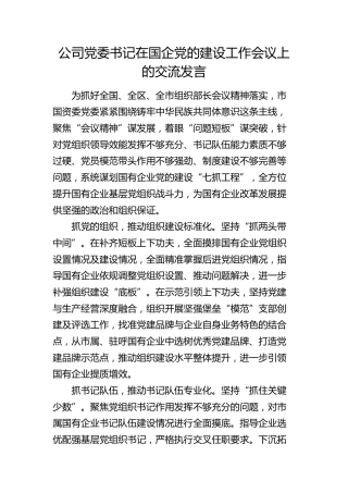 公司党委书记在国企党的建设工作会议上的交流发言
