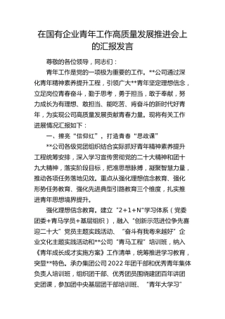 在国企公司青年工作高质量发展推进会上的汇报发言