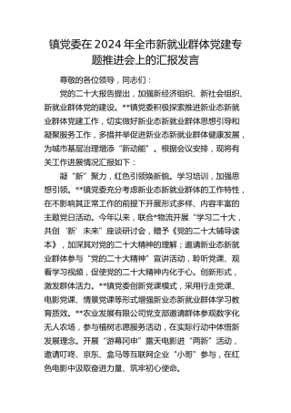 乡镇党委在2024年全市新就业群体党建专题推进会上的汇报发言