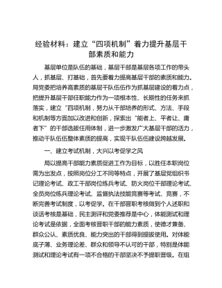 经验交流：建立“四项机制”着力提升基层干部素质和能力