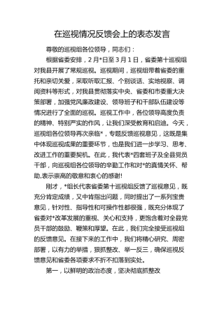 在巡视情况反馈会上的表态发言（巡察）