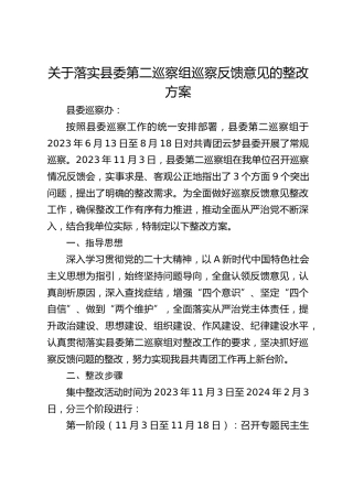 落实巡察反馈意见整改方案4600字