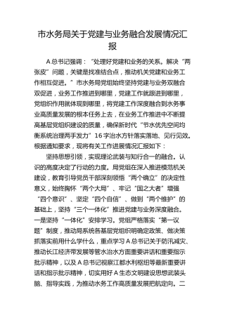 市水务系统党建与业务融合发展情况总结汇报