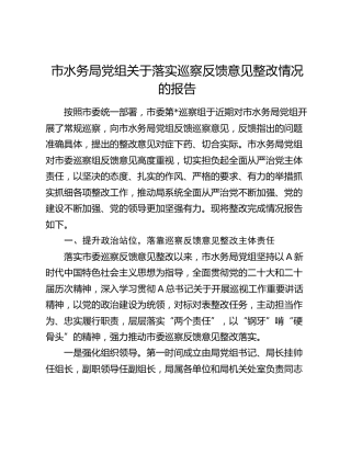 市水务局系统落实巡察反馈意见整改情况的报告（2000字总结）