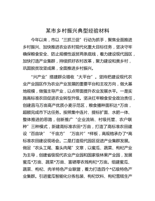 市乡村振兴典型经验