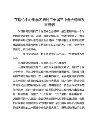 在理论中心组学习研讨二十届三中全会精神发言