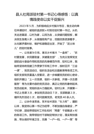 县人社局派驻村第一书记心得感悟：以真情践使命 以实干促振兴（发言）