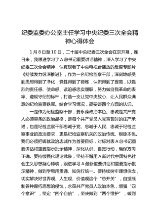 纪委监委办公室主任学习纪委三次全会精神心得体会