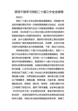 领导干部学习二十届三中全会感悟