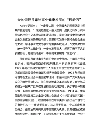 党的领导是审计事业健康发展的“压舱石”