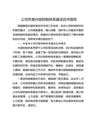 公司内部控制体系建设自评报告（5600字内控总结）
