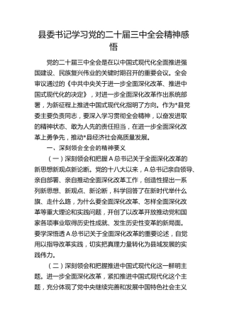 县委书记学习二十届三中全会精神心得体会发言3800字