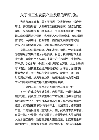乡镇工业发展产业发展的调研报告