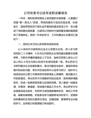 公司党委书记述学述职述廉报告2200字