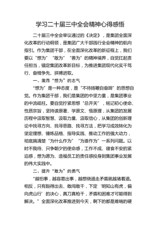 学习二十届三中全会精神心得感悟(公司)