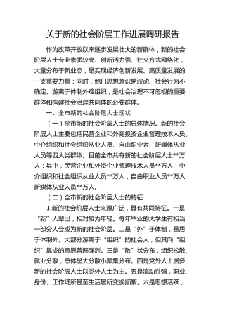 新的社会阶层工作进展调研报告