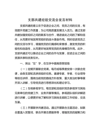 支部共建经验交流会发言
