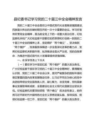 县纪委书记学习二十届三中全会精神研讨发言4200字