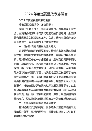巡视巡察整改表态发言