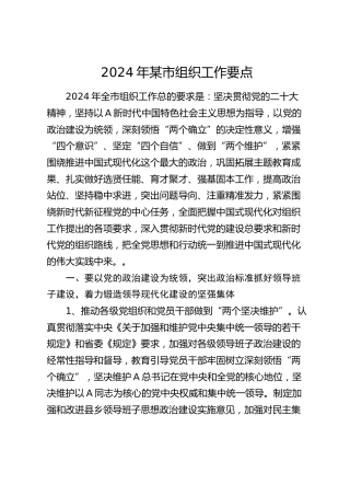2024年市组织工作要点（计划）